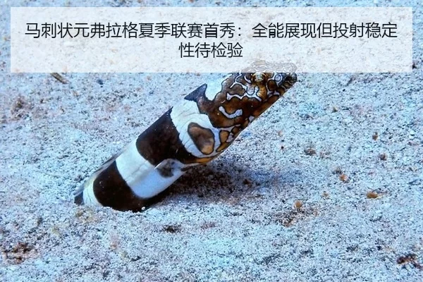 马刺状元弗拉格夏季联赛首秀：全能展现但投射稳定性待检验