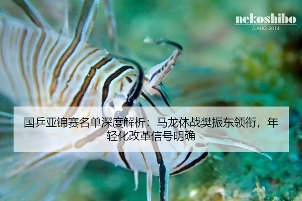 guo-ping-ya-jin-sai-ming-dan-shen-du-jie-xi-ma-long-xiu-zhan-fan-zhen-dong-ling-xian-nian-qing-hua-gai-ge-xin-hao-ming-3-942.jpg